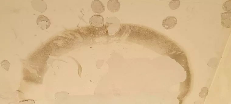 Peindre un plafond de salon jauni par le temps à Boulogne-sur-Mer, Boulogne-sur-Mer, MGT Peinture